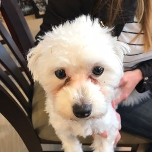 Meet your Posher, Christopher